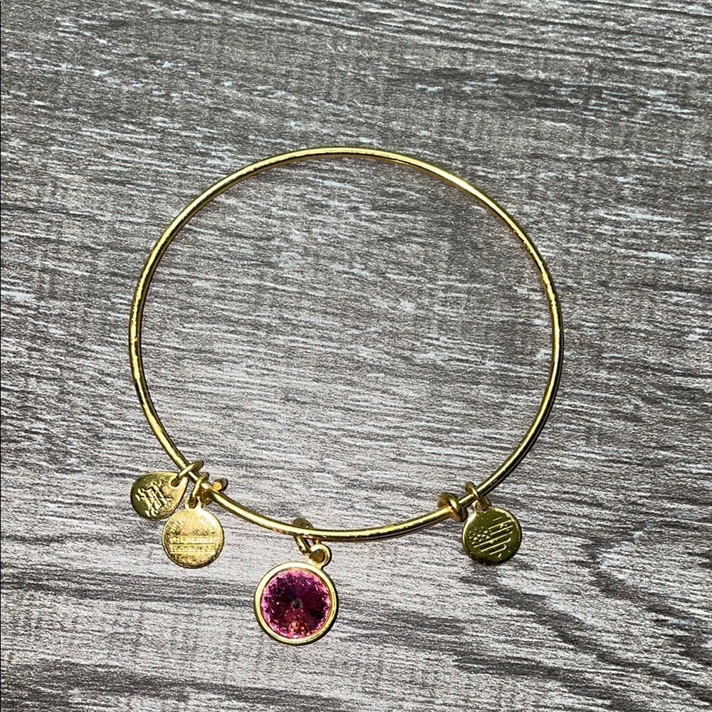 Alex and Ani Gold Bracelet with Pink Charm